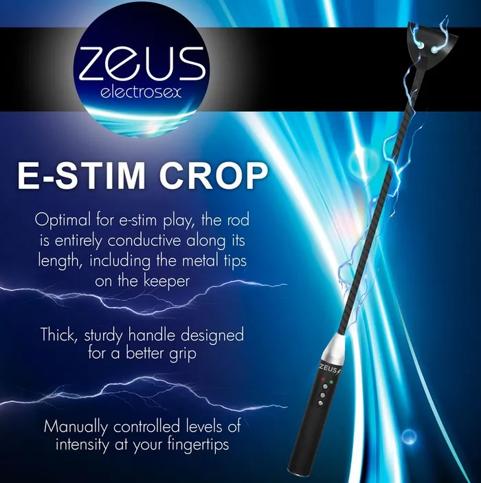 Vibrators Zeus Zeus Electrosex Riding Crop