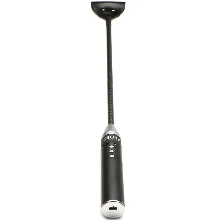 Vibrators Zeus Zeus Electrosex Riding Crop