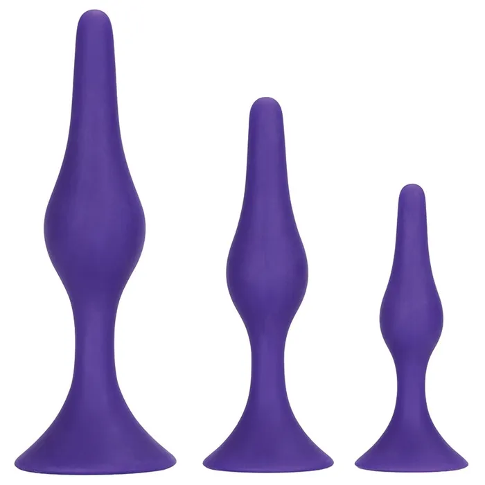 Male Sex Toys CAL EXOTICS Booty Call Booty Trainer Kit